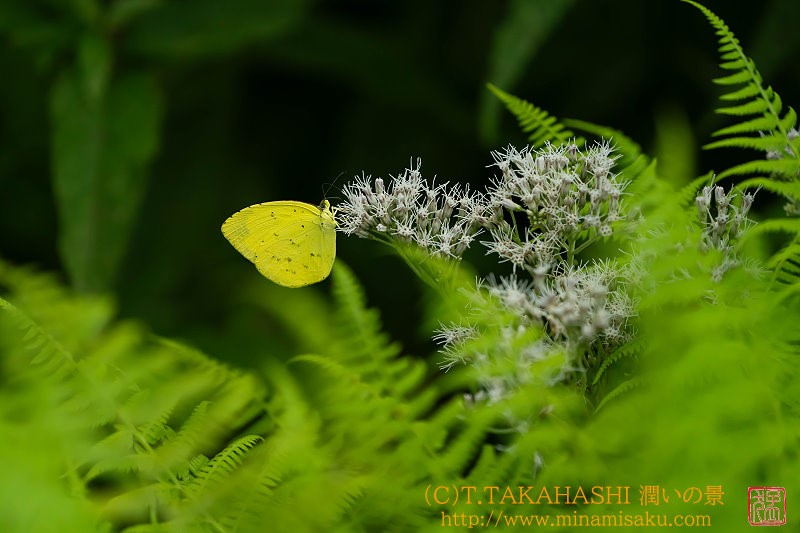 ../Images/7R250809 (434).jpg